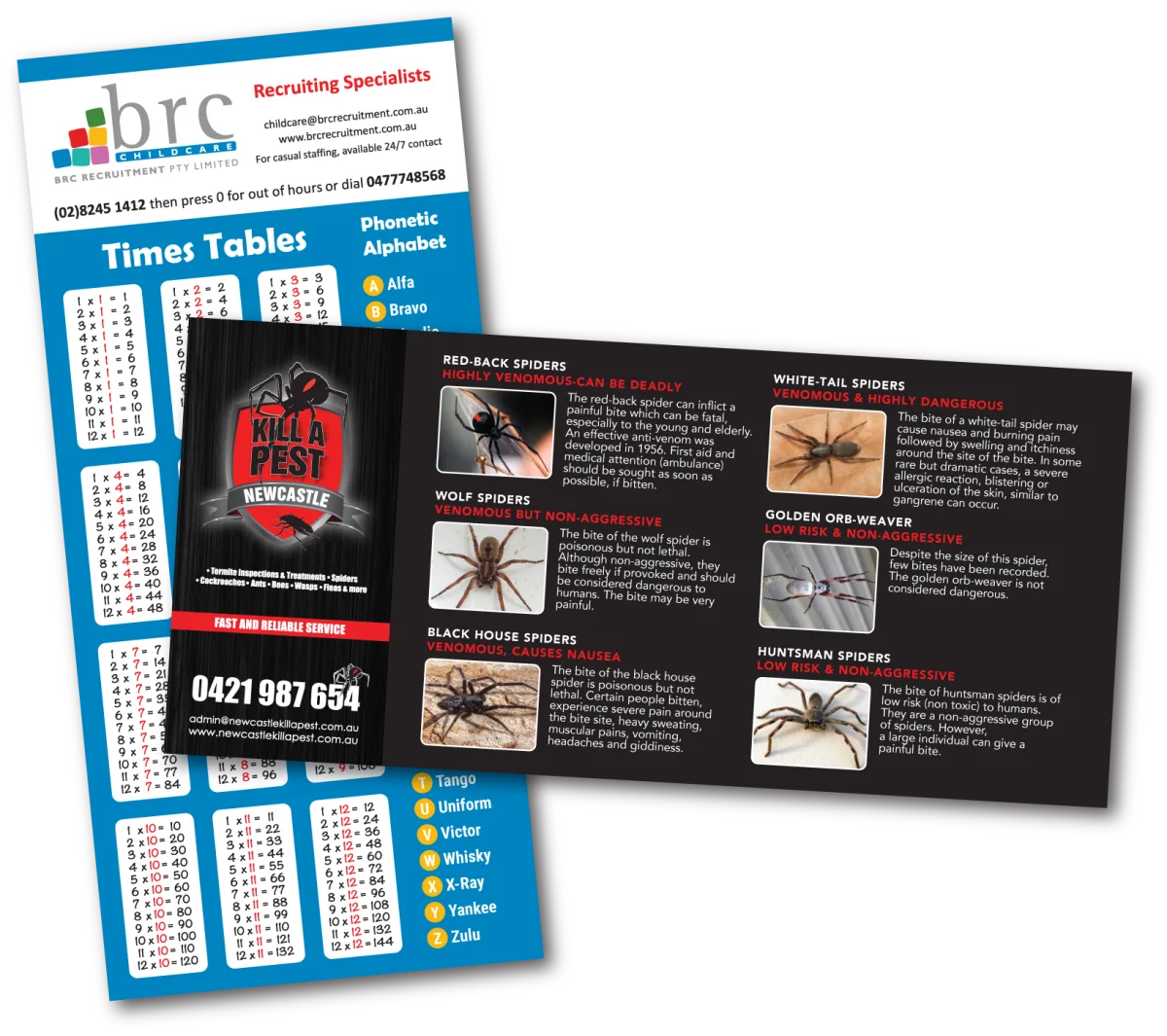 Standard DL — Promotional magnets