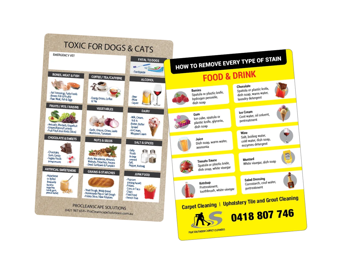 A6 — Fridge magnets for carpet cleaners