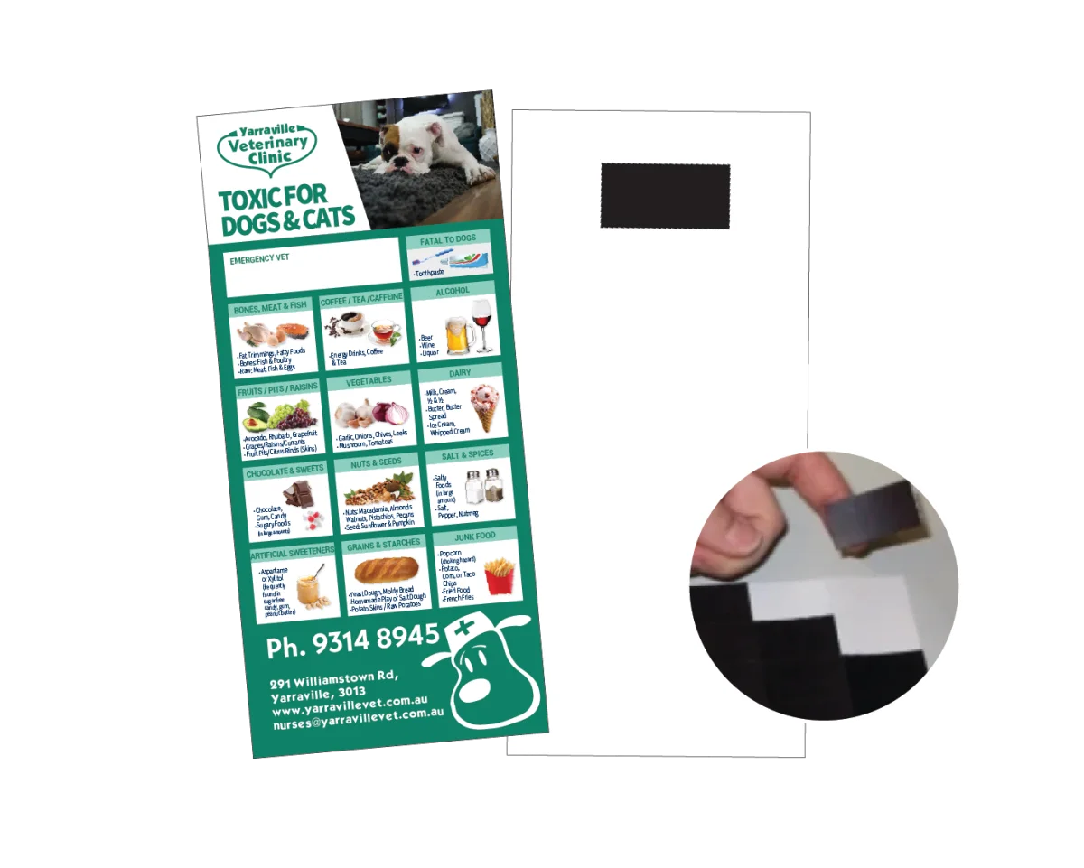 DL With Patch Magnet — Fridge magnets for vets and pet businesses